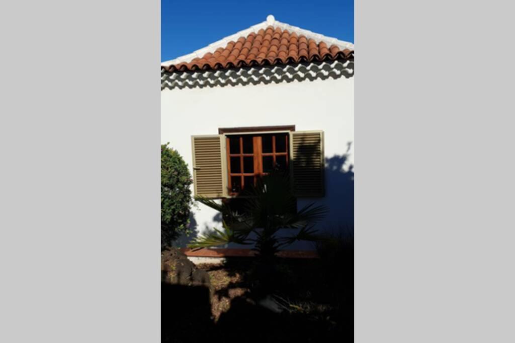 Villa La Paz Puerto de la Cruz  Extérieur photo